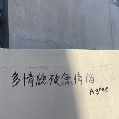 聽