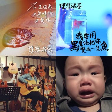 理想混蛋