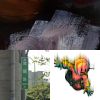 喜歡