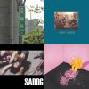 Spotify沒有的
