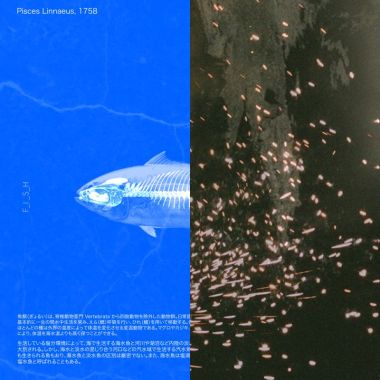 我的歌单  