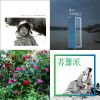 秋季。'16