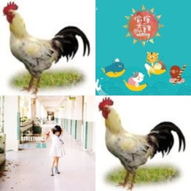 偷摸大雞