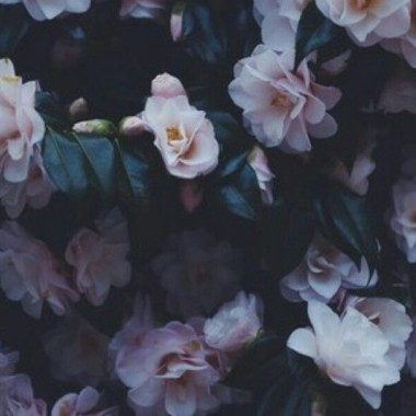 ♡