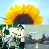 DontTradeMe
