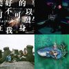 傻子與白痴