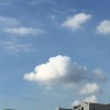 ϵ( 'Θ' )϶   ♪