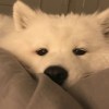 暈