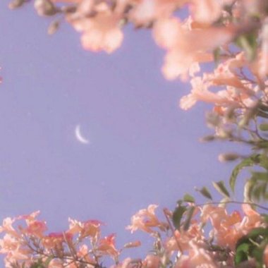 教主