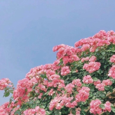 落