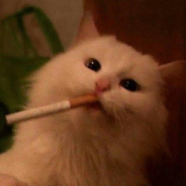 讚就加