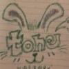 tone爾朵