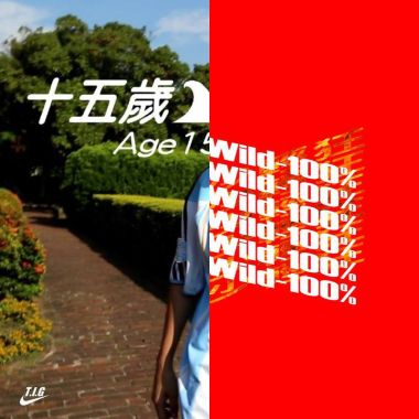 T.I.G铁巨人