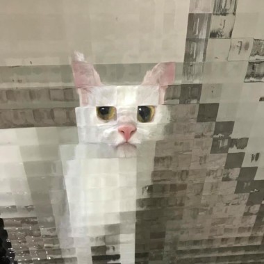 南skr
