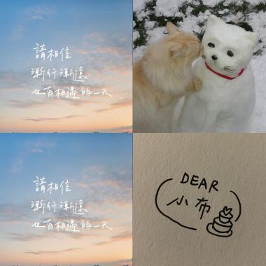 范范