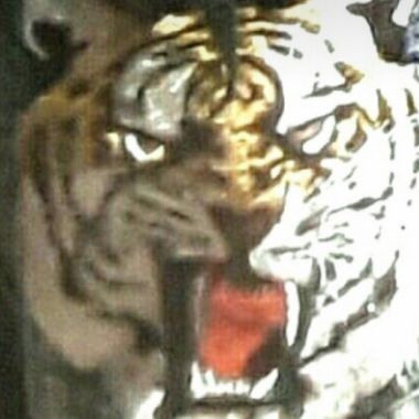 Flying tigers