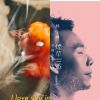 喜歡的歌曲