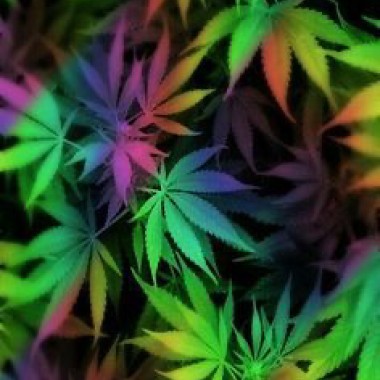 weed