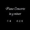 Piano Concerto in g minor (test)