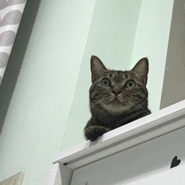 左邊