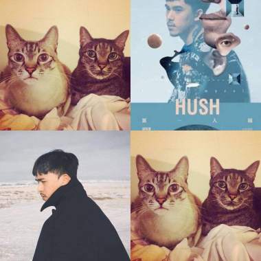 還好有Hush?