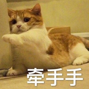 ?