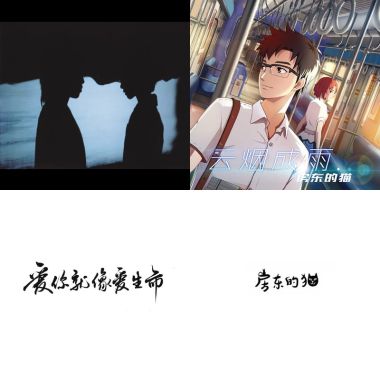 房东的猫20首选