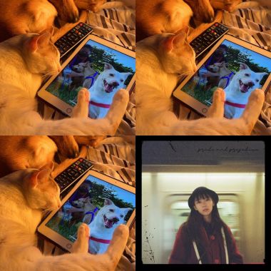 階層