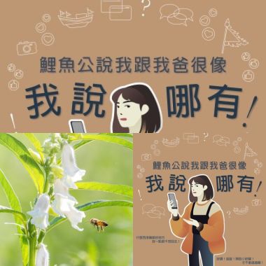 南臺科大
