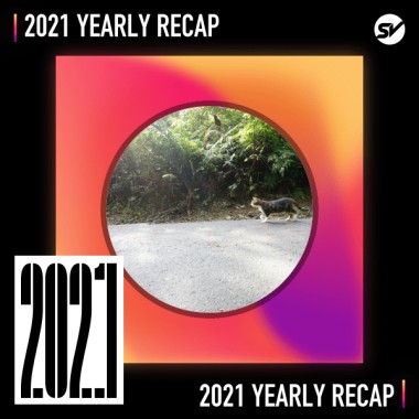 2021 個人年度精選之最