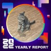 2022 個人年度精選