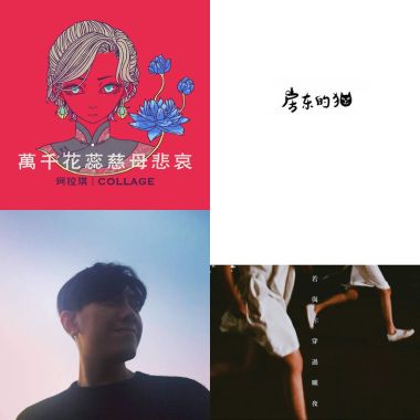 我的歌單