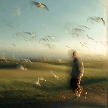 日間專注+夜間安眠