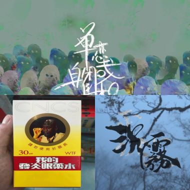 我的歌单
