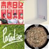 我的歌單  
