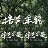 台北電影節