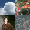 石青羅林