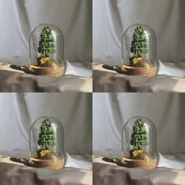 財富自由精神健康