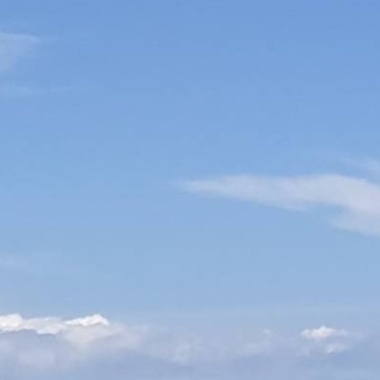 cccc