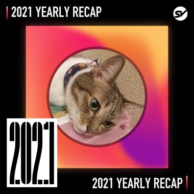2021 個人年度精選之最
