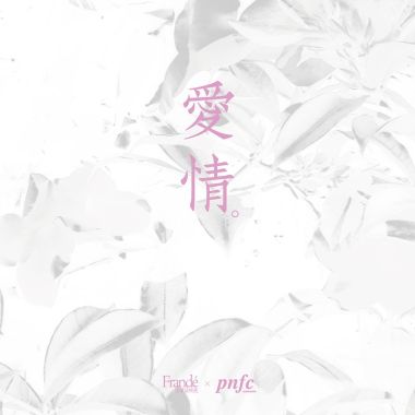法蘭黛