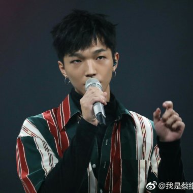 他是蔡维泽啦
