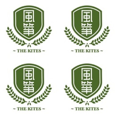 the kites