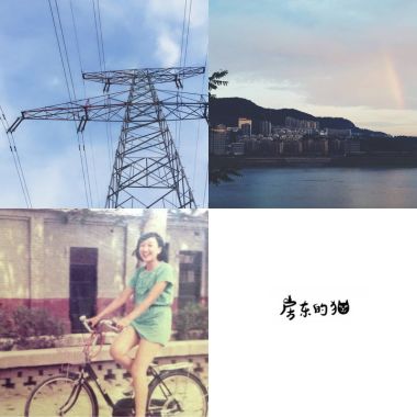 房東的貓