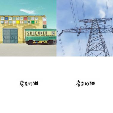 房東的貓?