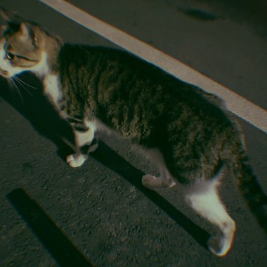 玄