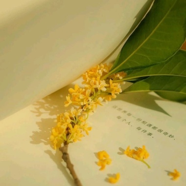 喜歡