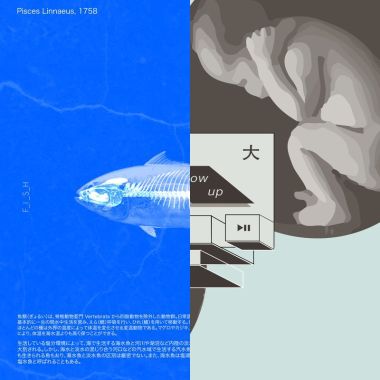 我的歌单  测试