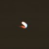 The Song L Like