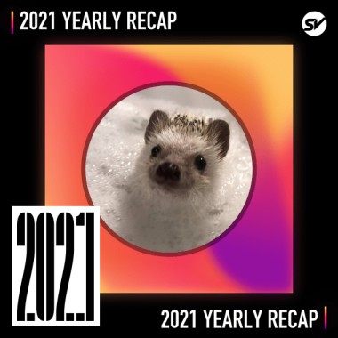 2021 個人年度精選之最